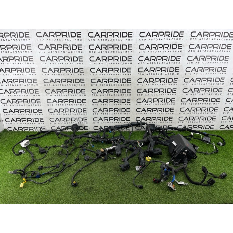 Проводка подкапотная (электрика) Hyundai Ioniq AE 2018 1.6 Hybrid 91220G2010