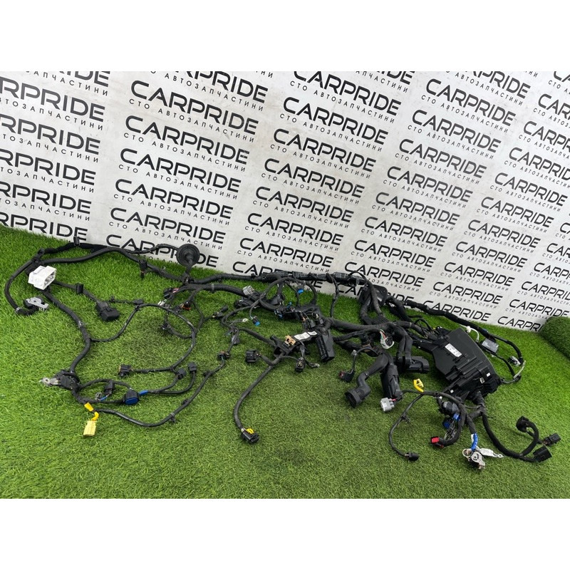 Проводка подкапотная (электрика) Hyundai Ioniq AE 2018 1.6 Hybrid 91220G2010