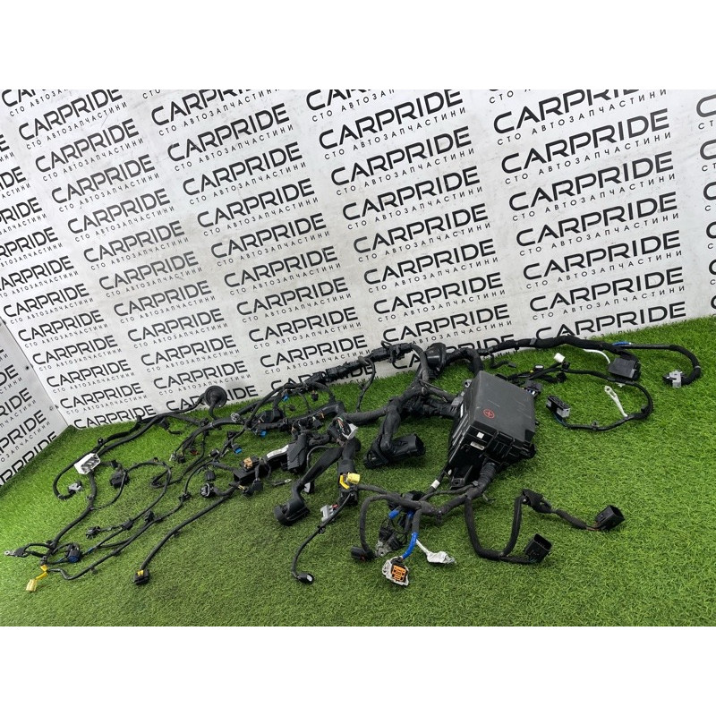 Проводка подкапотная (электрика) Hyundai Ioniq AE 2018 1.6 Hybrid 91220G2010