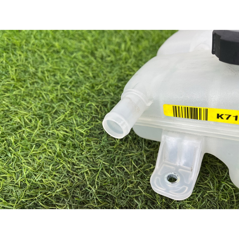 Бачок расширительный (система охлаждения) Hyundai Ioniq AE 2018 1.6 Hybrid 25430G2800