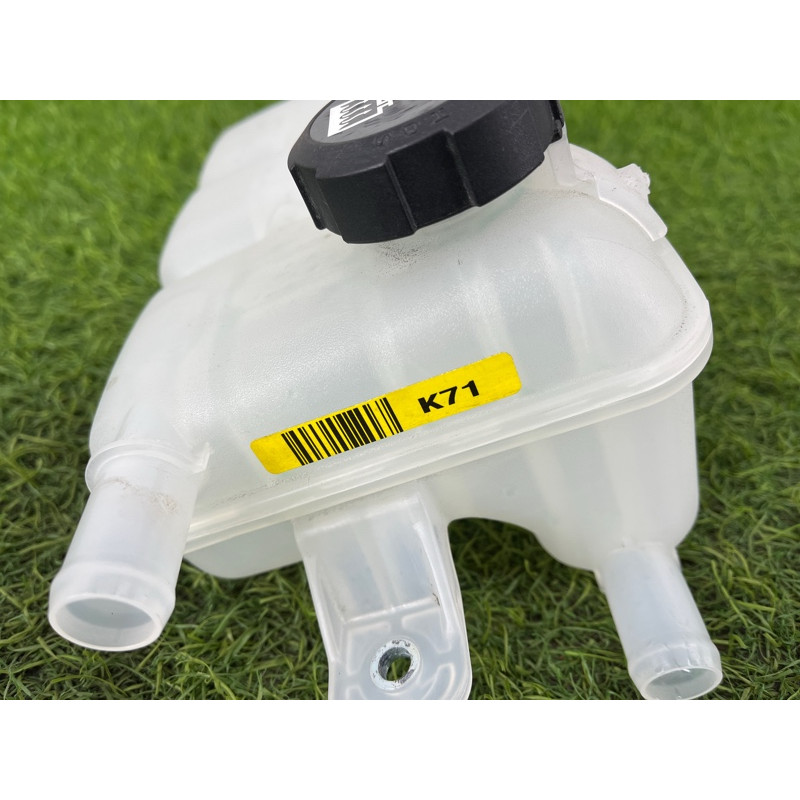 Бачок расширительный (система охлаждения) Hyundai Ioniq AE 2018 1.6 Hybrid 25430G2800