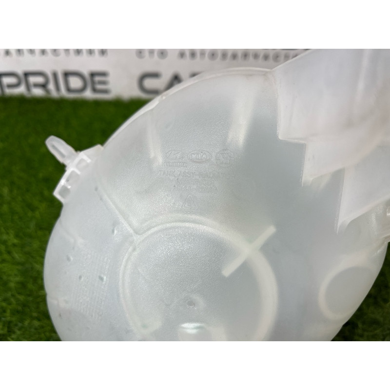 Бачок расширительный (система охлаждения) Hyundai Ioniq AE 2018 1.6 Hybrid 25430G2000