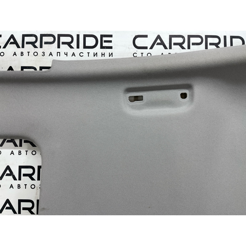 Обшивка потолка (салон) Hyundai Ioniq AE 2018 1.6 Hybrid 85410G2160TTX