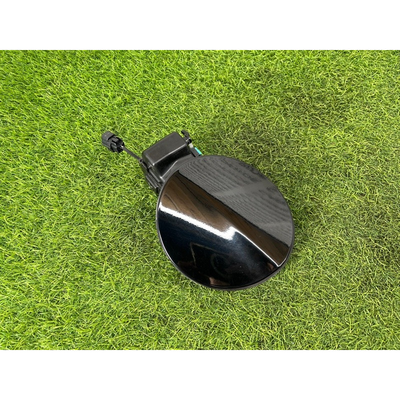 Лючок разъёма зарядки (кузов и элементы) Hyundai Ioniq AE 2018 1.6 Hybrid 81596G7000