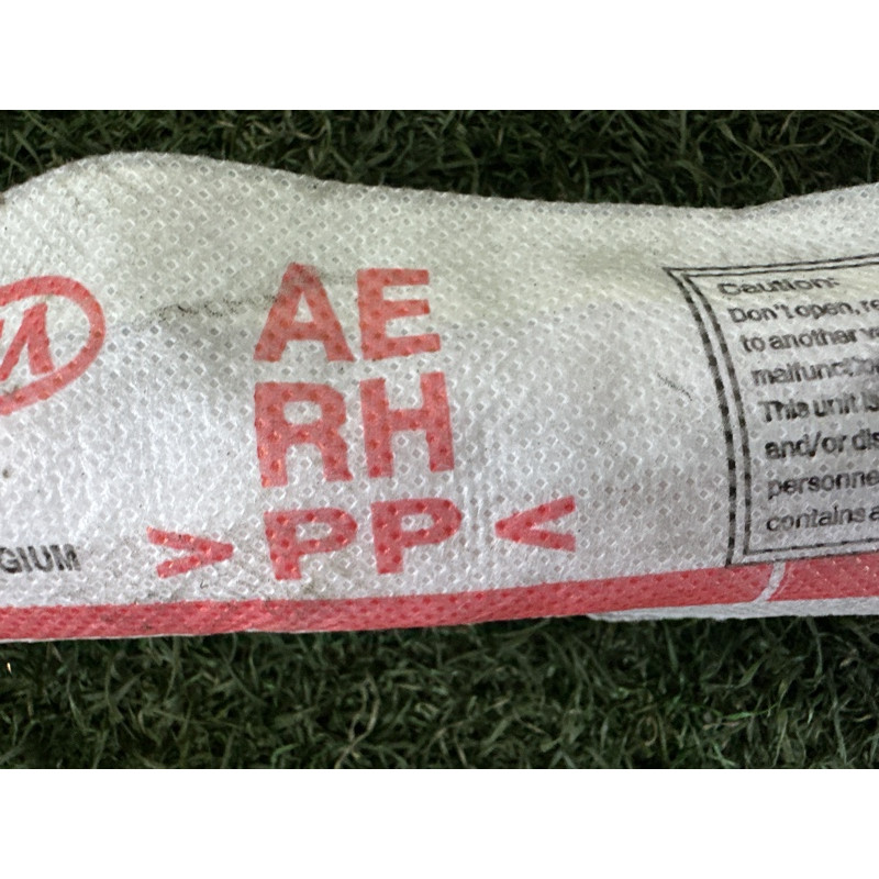 Airbag шторка (airbag / безопасность) Hyundai Ioniq AE 2017 1.6 85020G2000