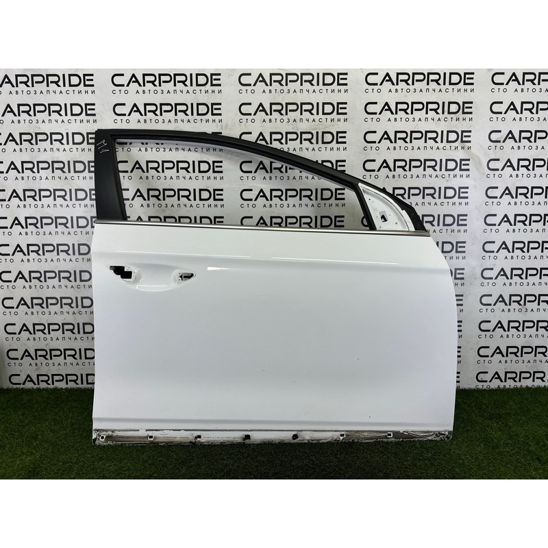 Дверь голая (наружные элементы кузова) Hyundai Ioniq AE 2017 1.6 76004G2010
