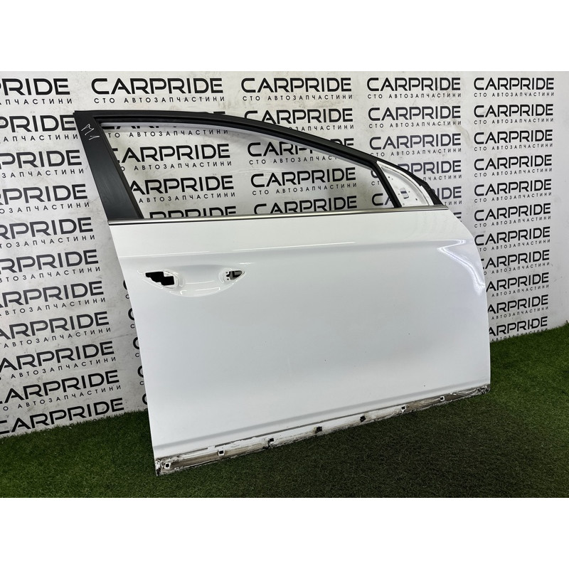 Дверь голая (наружные элементы кузова) Hyundai Ioniq AE 2017 1.6 76004G2010