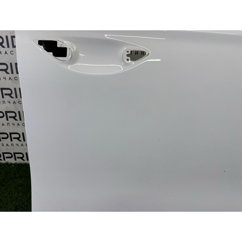 Дверь голая (наружные элементы кузова) Hyundai Ioniq AE 2017 1.6 76004G2010