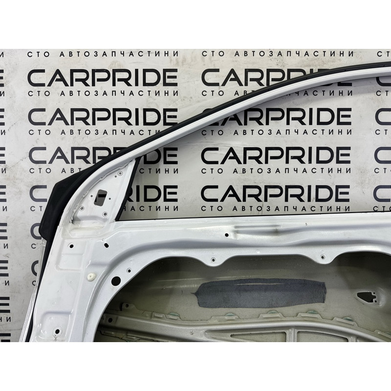 Дверь голая (наружные элементы кузова) Hyundai Ioniq AE 2017 1.6 76004G2010