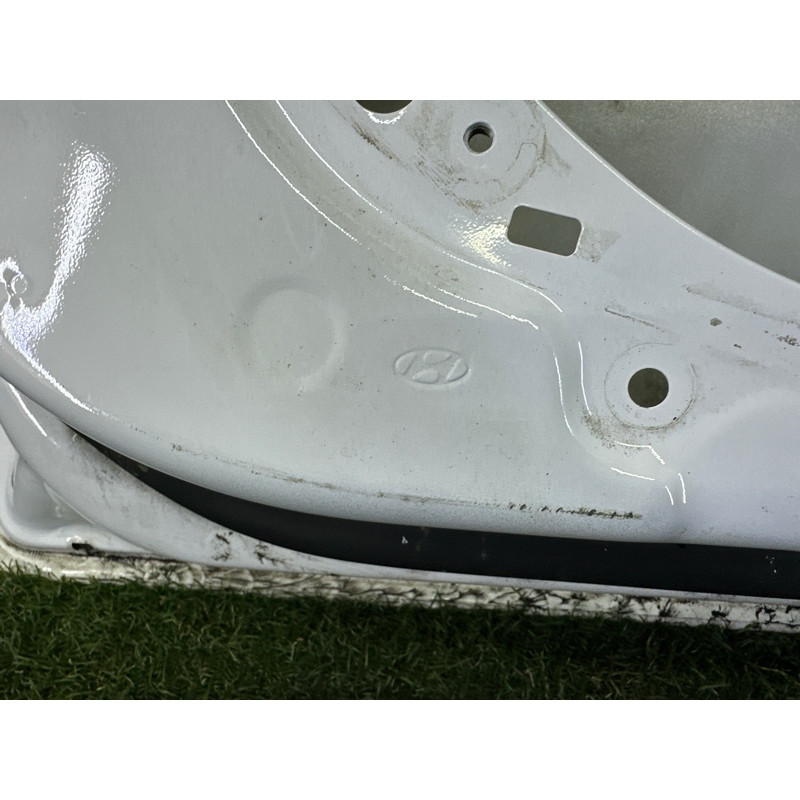 Дверь голая (наружные элементы кузова) Hyundai Ioniq AE 2017 1.6 76004G2010