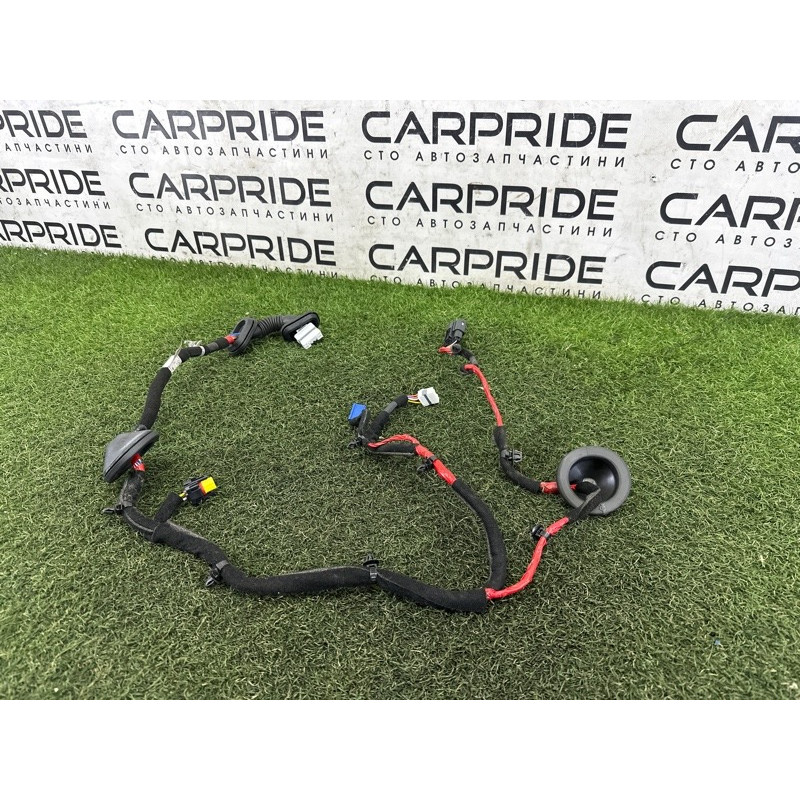 Проводка дверна (електрика) Hyundai Ioniq AE 2017 1.6 91650G2271