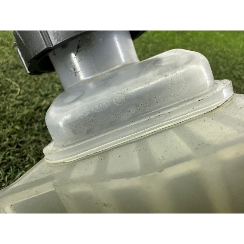 Бачок тормозной жидкости (тормозная система) Hyundai Ioniq AE 2017 1.6 410662B001