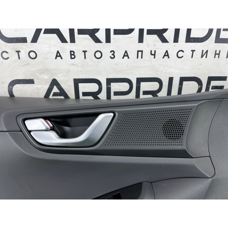 Дверная карта (салон) Hyundai Ioniq AE 2018 1.6 Hybrid 82307G2230T9Y