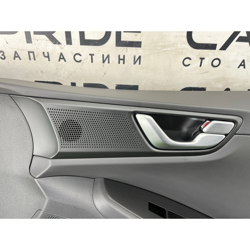 Дверная карта (салон) Hyundai Ioniq AE 2018 1.6 Hybrid 82308G2230T9Y