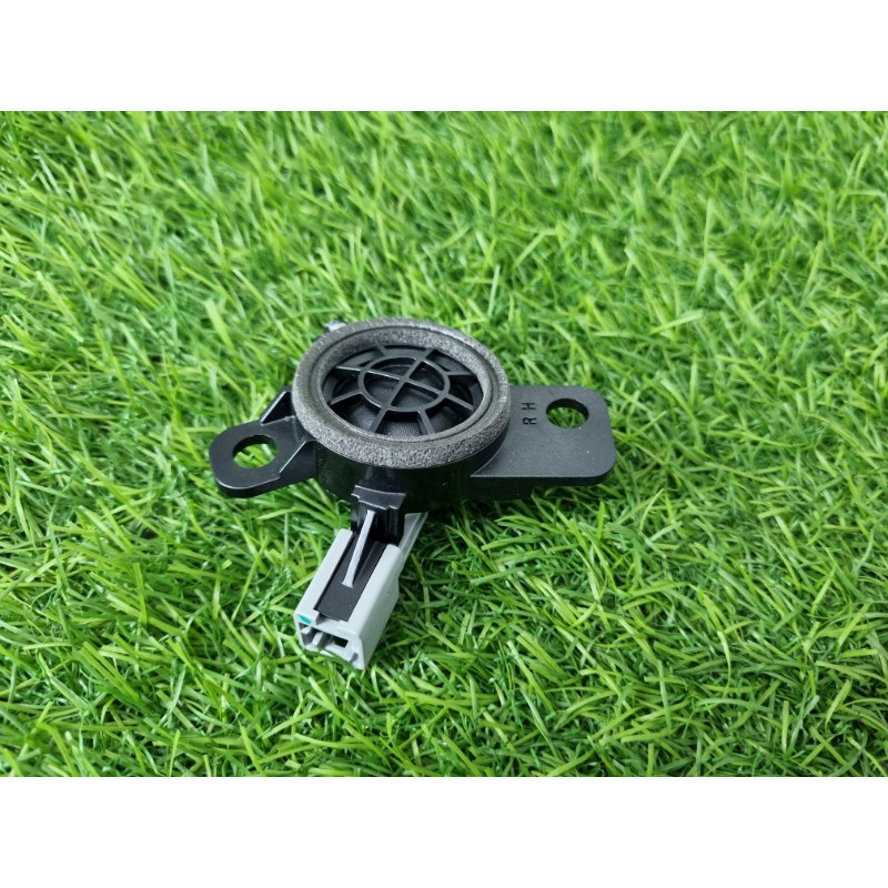 Динамик (электрика) Hyundai Ioniq AE 2018 1.6 Hybrid 96311G2100