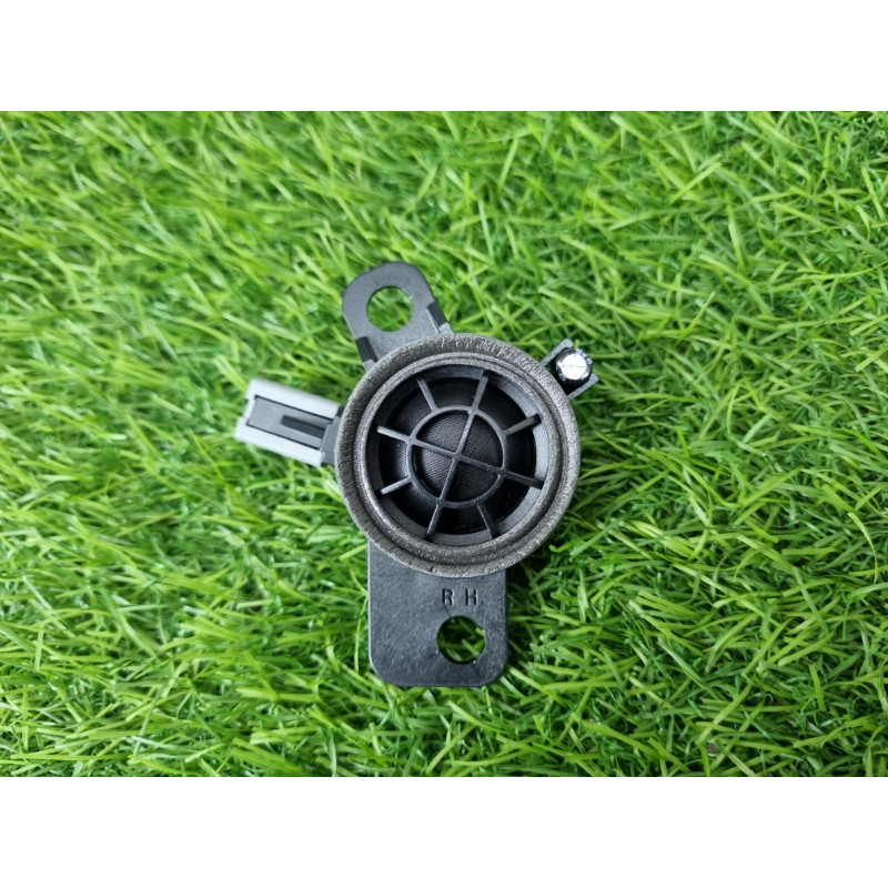 Динамик (электрика) Hyundai Ioniq AE 2018 1.6 Hybrid 96311G2100