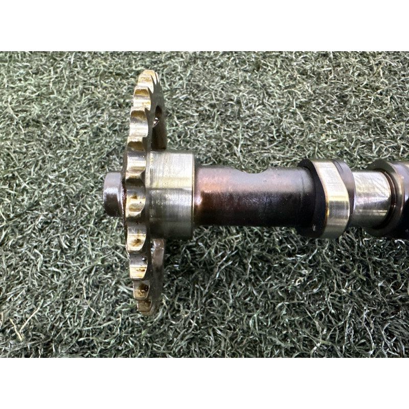 Розподільний вал випускний (двигун та елементи) AUDI Q7 4L 2011 3.0 TFSi 06E109102BG