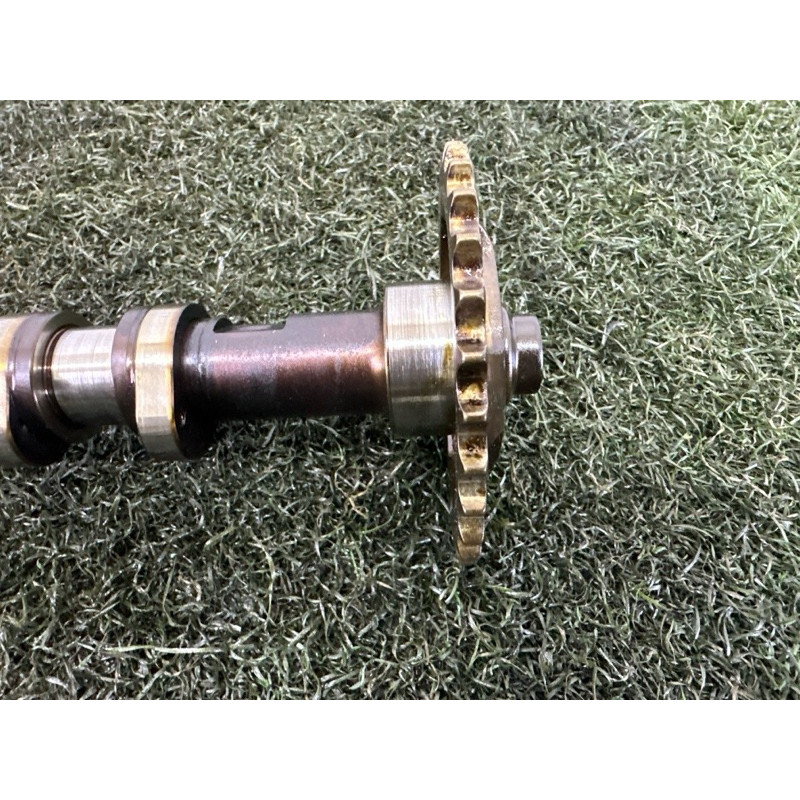 Розподільний вал випускний (двигун та елементи) AUDI Q7 4L 2011 3.0 TFSi 06E109102BG