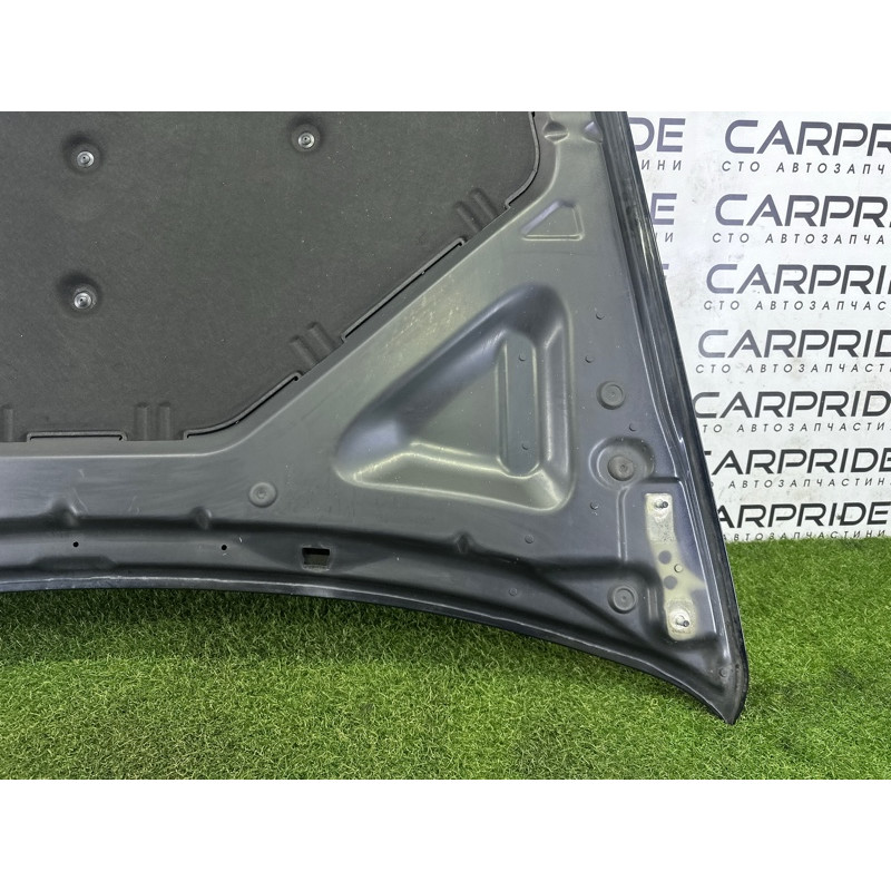 Капот (кузов і елементи) BMW X5 E70 2010 N57D30A 41617486754