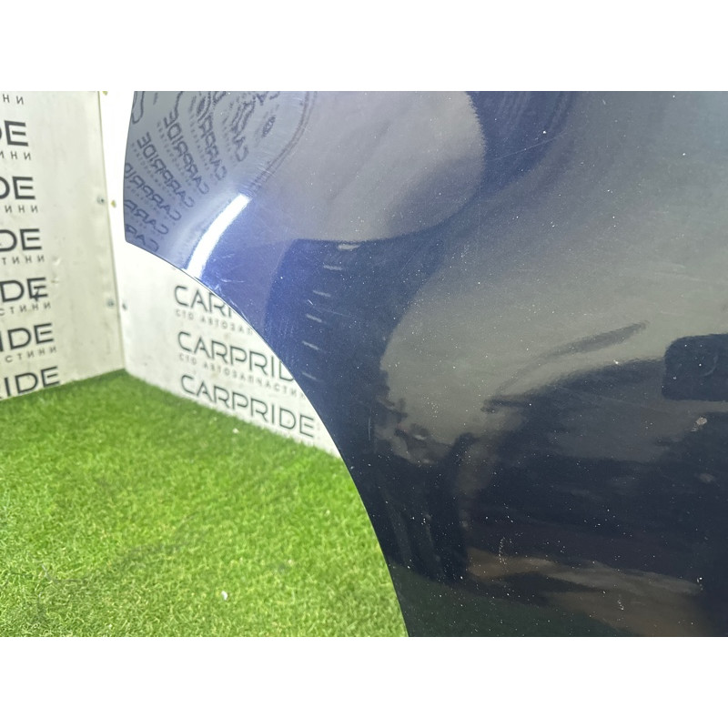 Дверь (наружные элементы кузова) BMW X5 E70 2010 N57D30A 41527261482