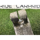 Поворотный кулак (подвеска) BMW X5 E70 2010 N57D30A 31216869869