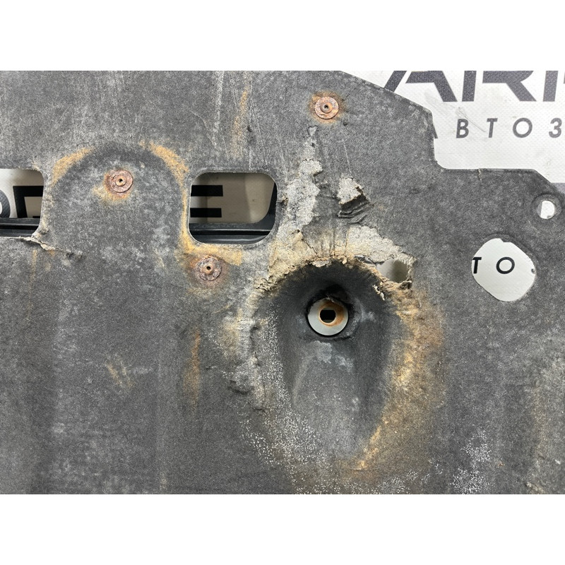 Защита двигателя (кузов и элементы) Hyundai Ioniq AE 2018 1.6 Hybrid 29110G2000