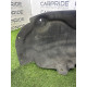 Подкрылок (кузов и элементы) AUDI A8 D4 2011 4.2 CDRA 4H0810171D