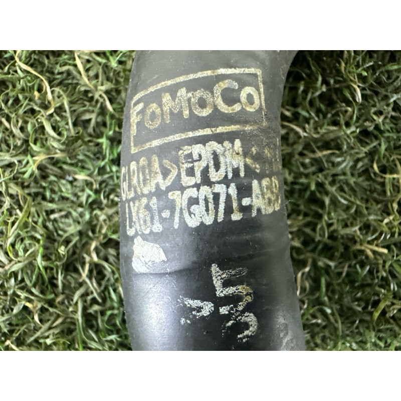 Патрубок (система охлаждения) FORD ESCAPE MK4 2020 1.5 LX6Z7890B