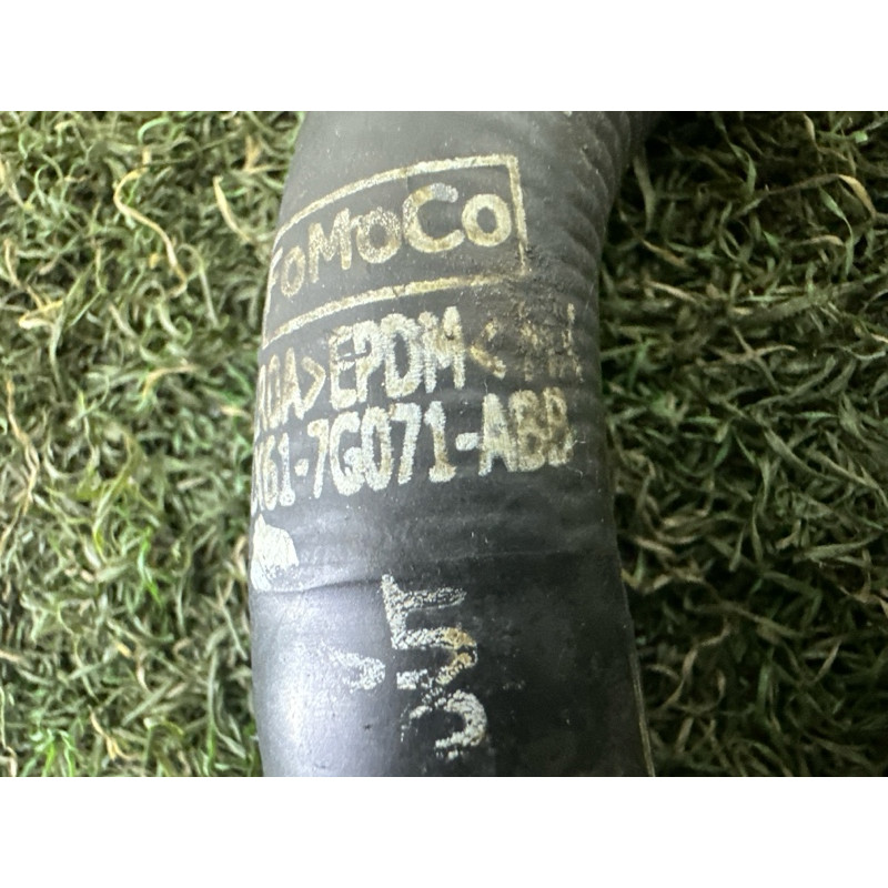 Патрубок (система охлаждения) FORD ESCAPE MK4 2020 1.5 LX6Z7890B