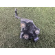 Помпа електрична (електрика) AUDI A4 B8 2013 2.0 TFSI 06D121601