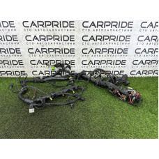 Проводка моторная