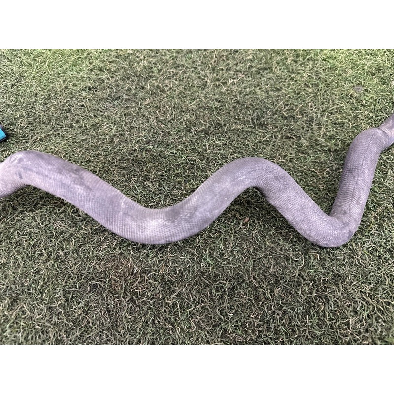 Шланг (система охлаждения) LAND ROVER RANGE ROVER Sport L494 2016 3.0 Diesel LR062106