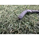 Airbag сидения (airbag / безопасность) Volkswagen Touareg NF 2012 3.0 Hybrid CGFA 7P0880242D