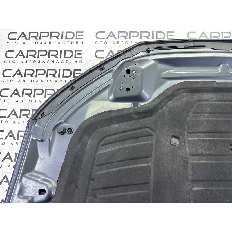 Капот (кузов и элементы) AUDI Q5 FY 2020 2.0 80A823029STL