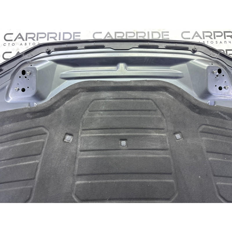 Капот (кузов и элементы) AUDI Q5 FY 2020 2.0 80A823029STL