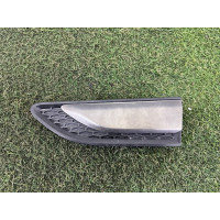 Молдинг крила