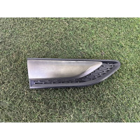 Молдинг крила