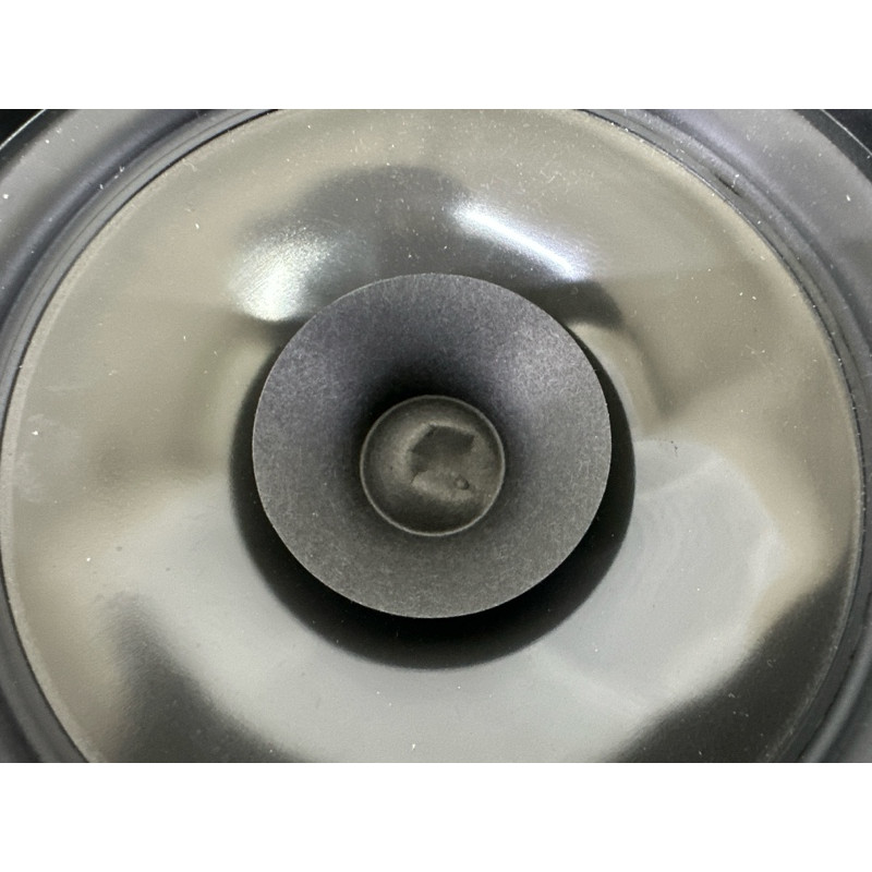 Динамик (электрика) Nissan Rogue T33 2022 1.5 281566RR0A