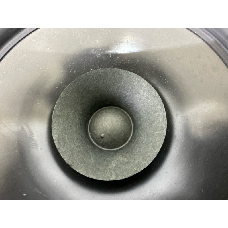 Динамік (електрика) Nissan Rogue T33 2021 2.5 281566RR0A