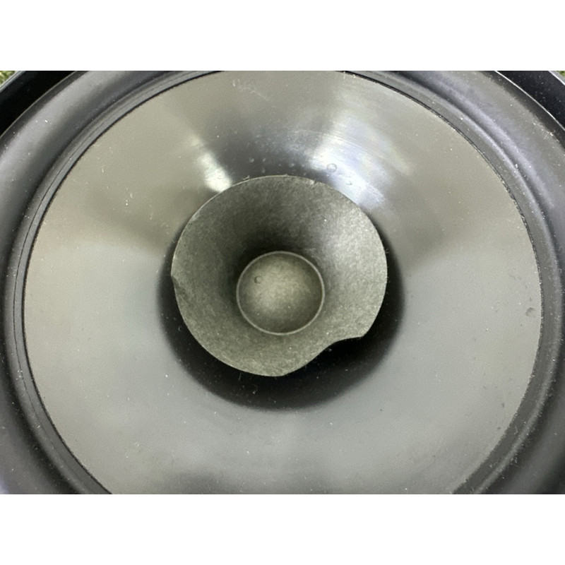 Динамік (електрика) Nissan Rogue T33 2021 2.5 281566RR0A