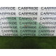 Скло (кузов і елементи) AUDI Q5 FY 2020 2.0 DJYA 80A845202A