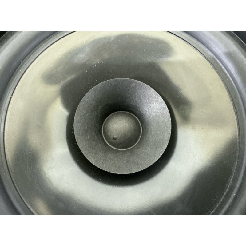 Динамик (электрика) Nissan Rogue T33 2022 1.5 281566RR0A