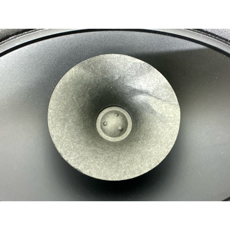 Динамик (электрика) Nissan Rogue T33 2022 1.5 281576RR0A