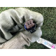 Проводка дверна (електрика) Nissan Rogue T33 2022 1.5 241266RR3B
