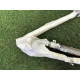 Airbag шторка (airbag / безопасность) BMW X5 E70 2011 3.0 72127141507