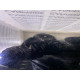 Накладка двери внешняя (кузов и элементы) AUDI Q7 4L 2015 3.0 CNRB 4L0853970QGRU