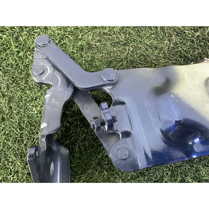 Петля капота (кузов і елементи) BMW X5 E70 2011 3.0 41007198617