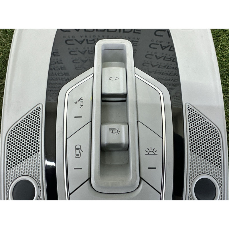 Плафон салона (салон) AUDI Q5 FY 2020 2.0 DJYA 80A947135BMBC5