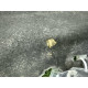 Шумоізоляція капота (кузов и элементы) LAND ROVER Range Rover Evoque L538 2015 2.0 LR066534