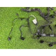 Проводка моторная (электрика двигателя) Volkswagen Amarok 2H 2.0 CNEA 2H0971078AB